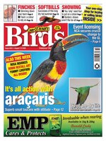 Cage & Aviary Birds